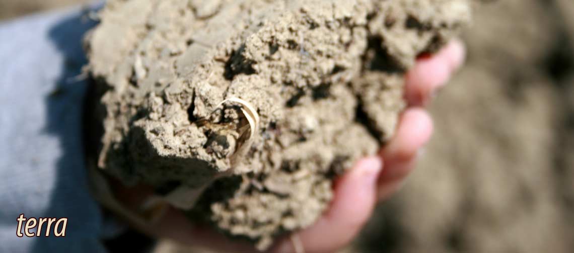 agriturismo_1 agriturismo_1