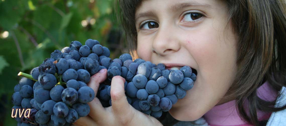 agriturismo_2 agriturismo_2